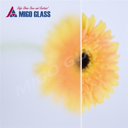 AR Coating Solar Glass